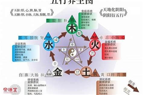 五行都不缺的人|五行不缺一生好命數？五行不缺的人要注意的優缺點